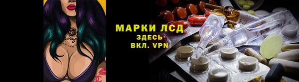 тгк Алзамай